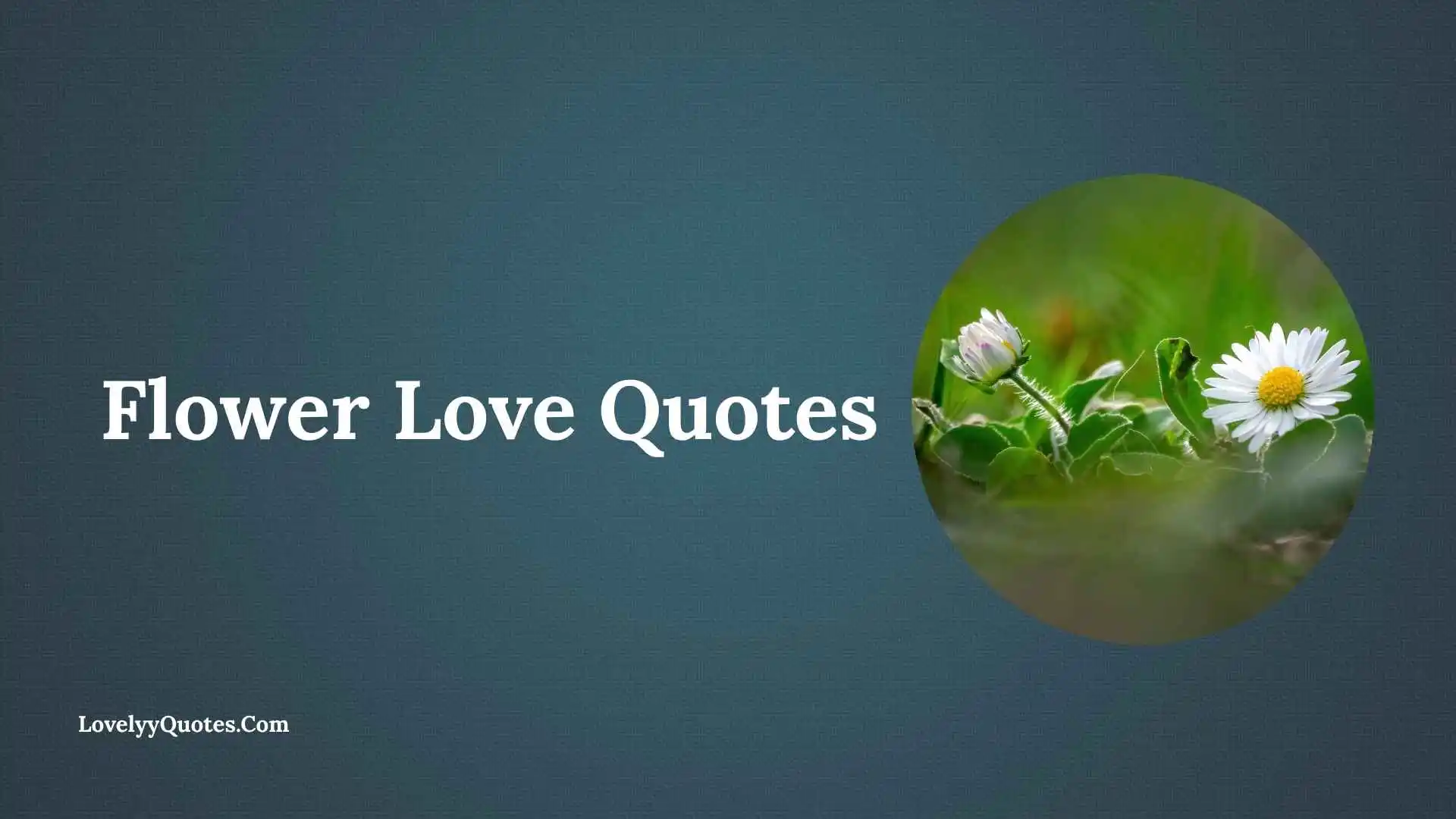 Flower Love Quotes